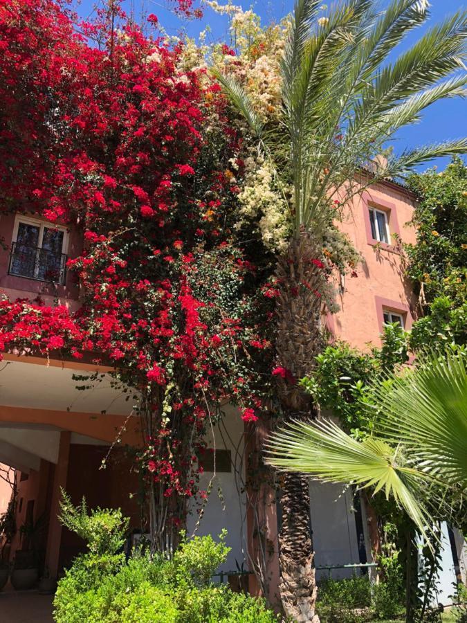 Riad Palmier Fleuri Marrakesz Zewnętrze zdjęcie