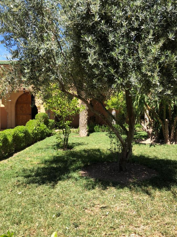 Riad Palmier Fleuri Marrakesz Zewnętrze zdjęcie