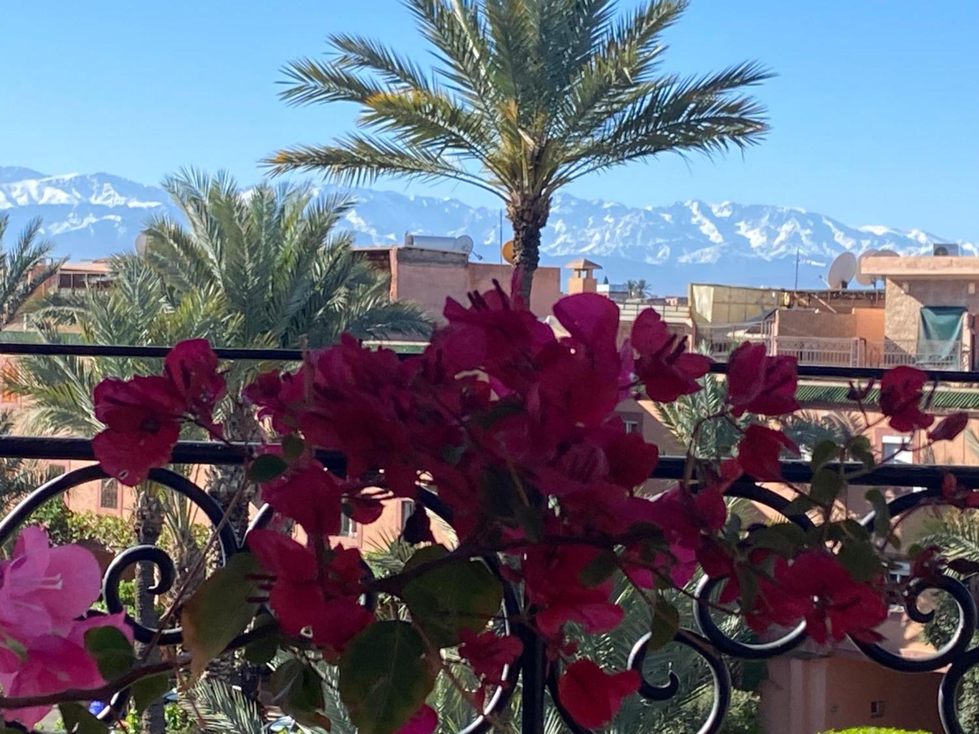 Riad Palmier Fleuri Marrakesz Zewnętrze zdjęcie