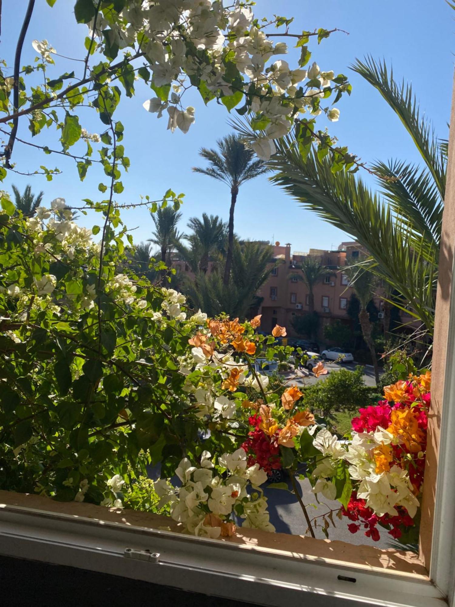 Riad Palmier Fleuri Marrakesz Zewnętrze zdjęcie