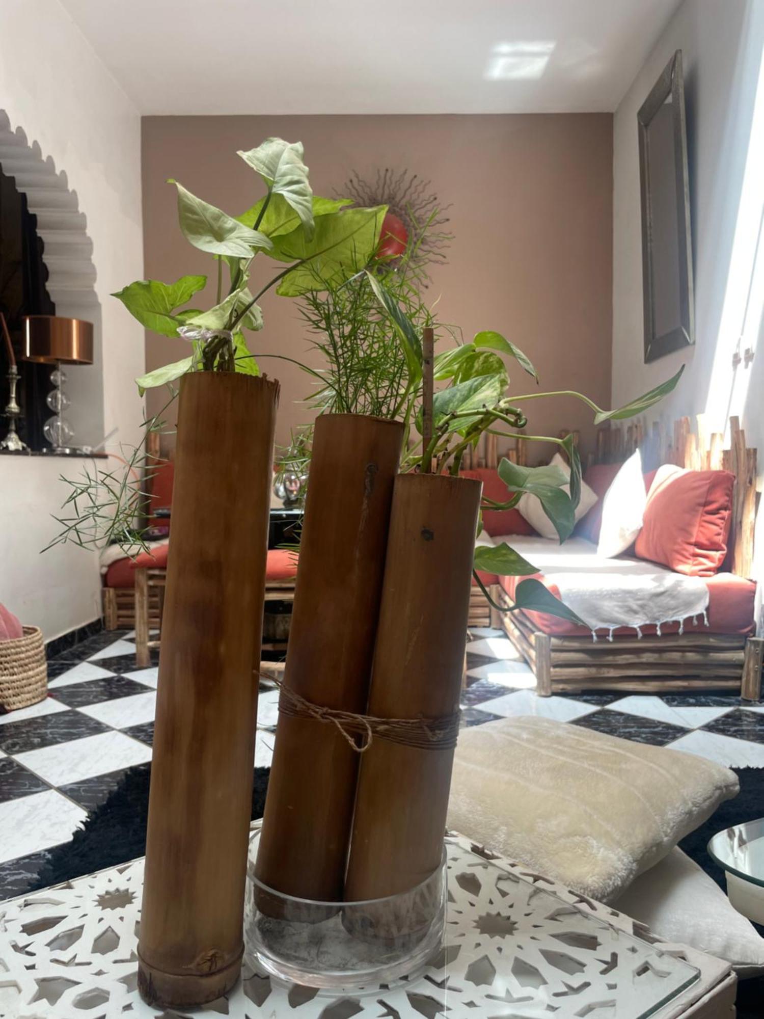 Riad Palmier Fleuri Marrakesz Zewnętrze zdjęcie